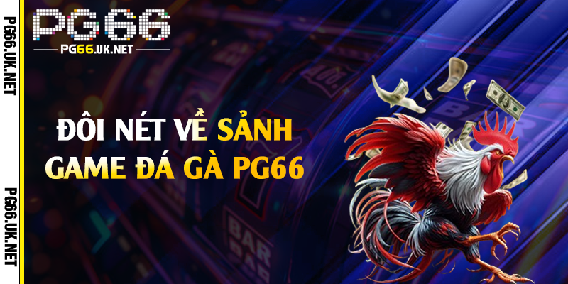 Đôi nét về sảnh game đá gà PG66