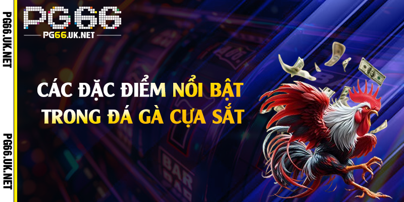 Các đặc điểm nổi bật trong đá gà cựa sắt
