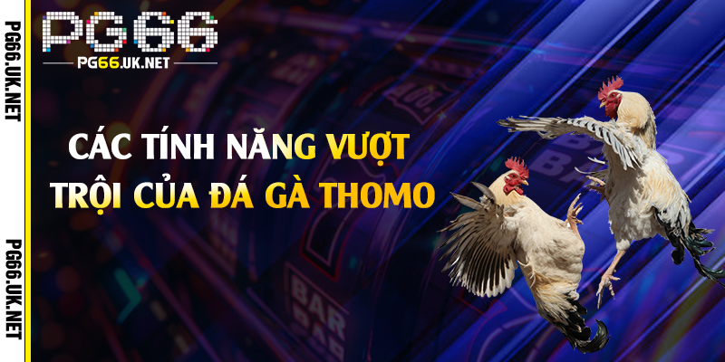 Các tính năng vượt trội của đá gà Thomo