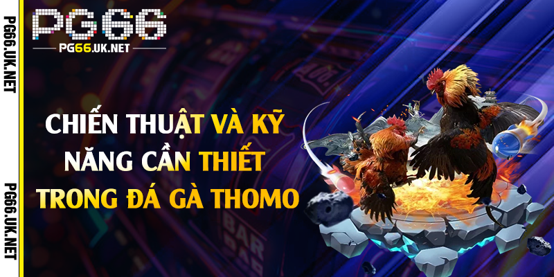 Chiến thuật và kỹ năng cần thiết trong đá gà Thomo