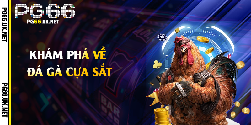 Khám phá về đá gà cựa sắt